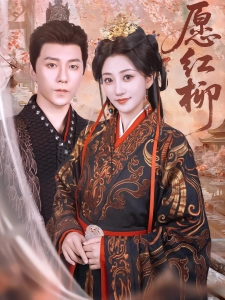 短剧愿红柳海报