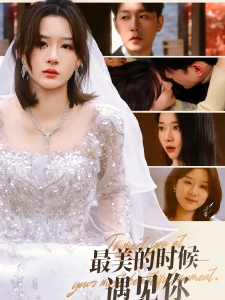 短剧最美的时候遇见你海报