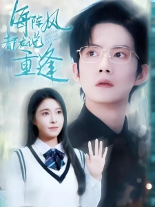 短剧每阵风都在说重逢海报