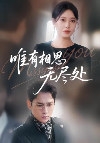 短剧唯有相思无尽处海报