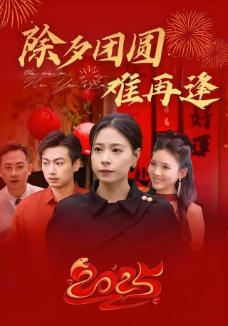 短剧除夕团圆难再逢海报