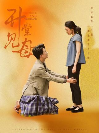 短剧升堂见母海报