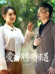 短剧爱在黄昏前相遇海报