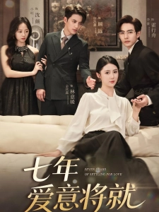 短剧七年爱意将就海报