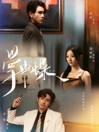 短剧掌中蝶海报