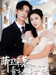 短剧萌宝来袭，爹地是大佬海报