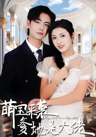 短剧萌宝来袭，爹地是大佬海报