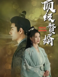 短剧顶级赘婿海报