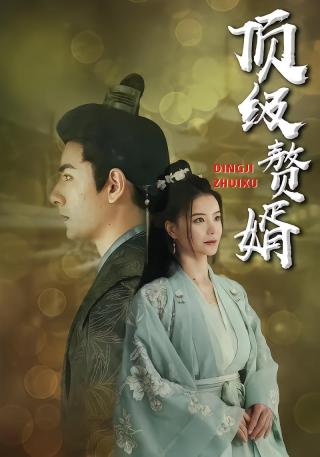 短剧顶级赘婿海报