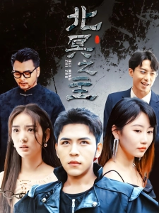 短剧北冥之主海报