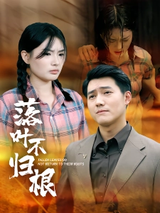 短剧落叶不归根海报