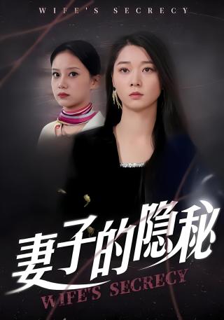 短剧妻子的隐秘海报