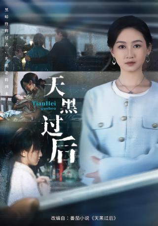 短剧天黑过后海报