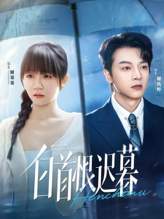 短剧白首恨迟暮海报