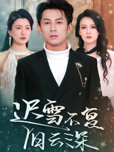 短剧迟雪不复旧云深海报
