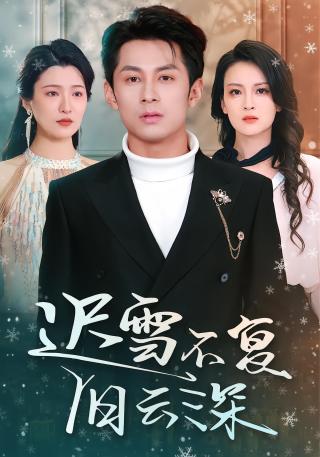 短剧迟雪不复旧云深海报