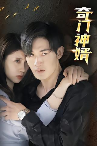 短剧奇门神婿海报