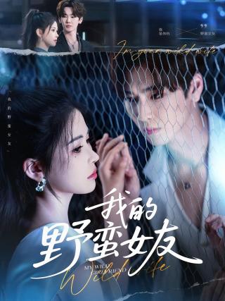 短剧我的野蛮女友海报