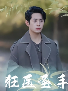 短剧狂医圣手海报