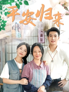 短剧平安归来海报