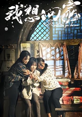 短剧我想回家海报