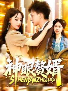 短剧神眼赘婿海报