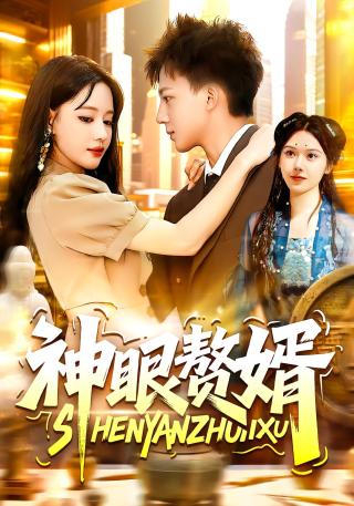 短剧神眼赘婿海报