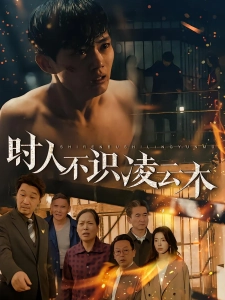 短剧时人不识凌云木海报