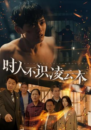 短剧时人不识凌云木海报