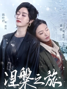 短剧涅槃之旅海报