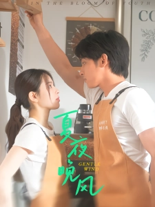 短剧夏夜晚风海报