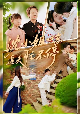 短剧沈小姐哄崽追夫忙不停海报