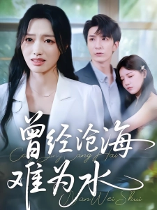 短剧曾经沧海难为水海报