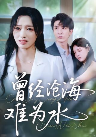 短剧曾经沧海难为水海报