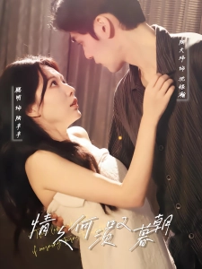 短剧情久何须叹暮朝海报