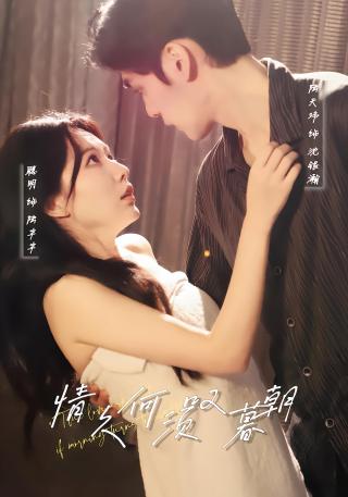 短剧情久何须叹暮朝海报