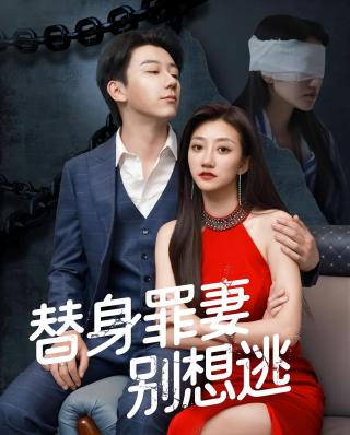 短剧替身罪妻别想逃海报