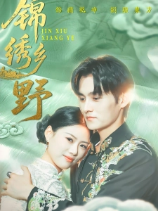 短剧锦绣乡野海报