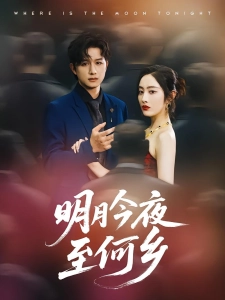 短剧明月今夜至何乡海报