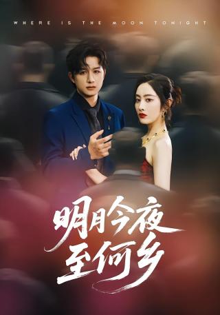 短剧明月今夜至何乡海报