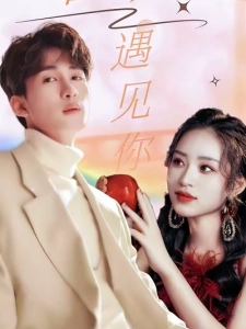 短剧因为遇见你海报