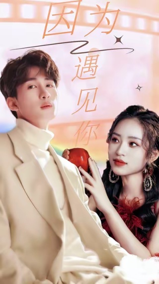 短剧因为遇见你海报