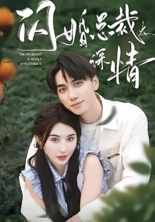 短剧闪婚总裁太深情海报