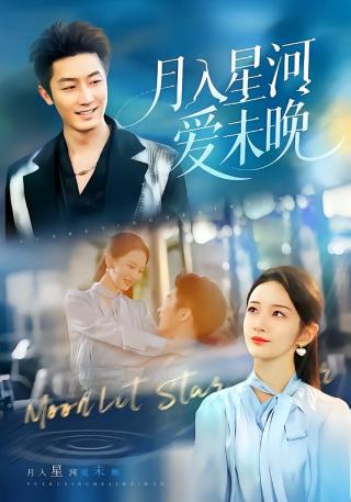短剧月入星河爱未晚海报