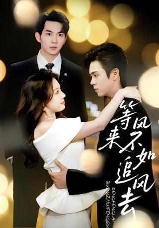 短剧等风来不如追风去海报