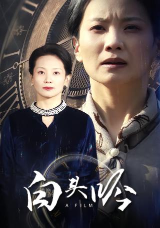 短剧白头吟海报