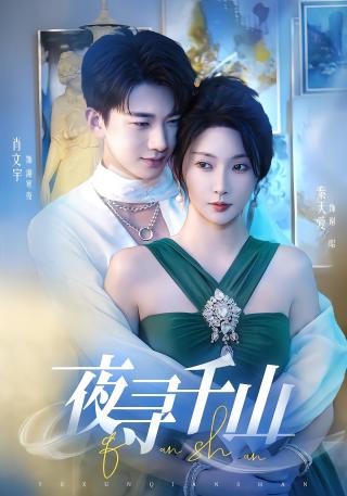 短剧夜寻千山海报