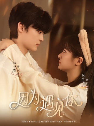 短剧因为遇见你海报