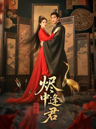 短剧烬中逢君海报