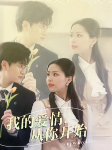 短剧我的爱情，从你开始海报